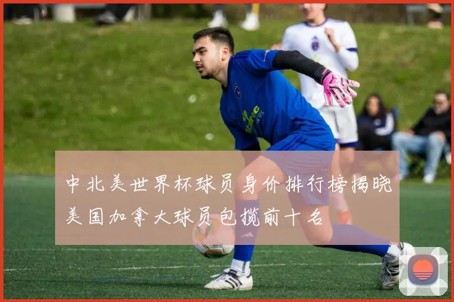 中北美世界杯球员身价排行榜揭晓美国加拿大球员包揽前十名