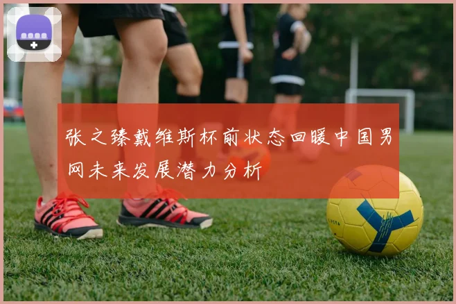 张之臻戴维斯杯前状态回暖中国男网未来发展潜力分析